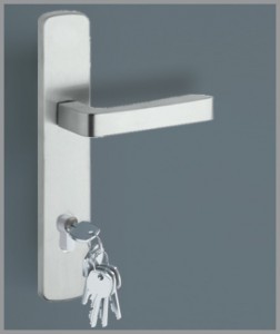 Hauseingangstür Aluminium