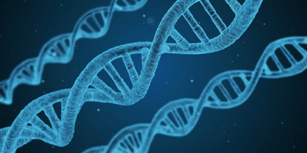 Hunde dna test vergleich